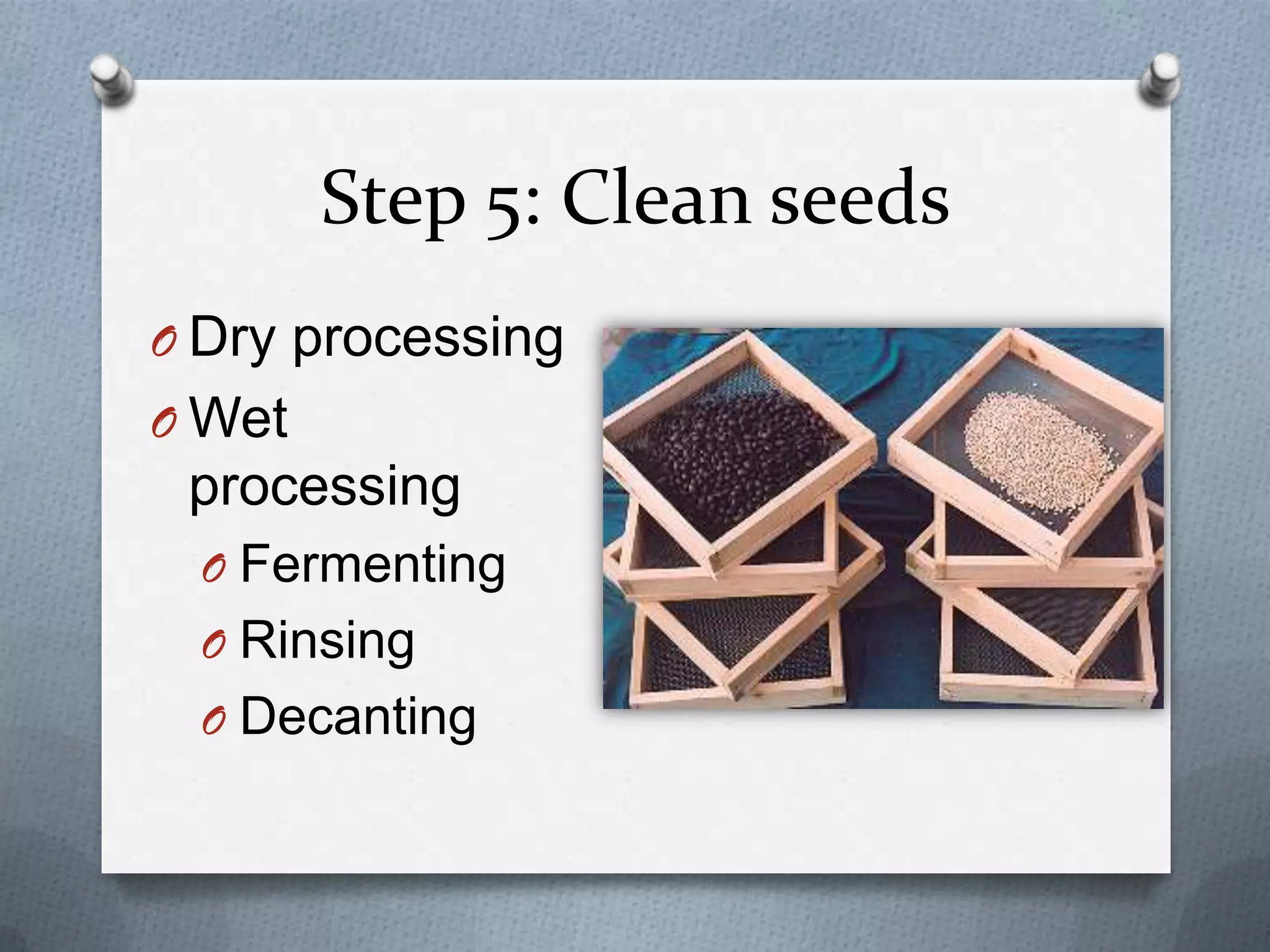 Step 5: Clean seeds
O Dry processing
O Wet
 processing
 O Fermenting
 O Rinsing
 O Decanting
 