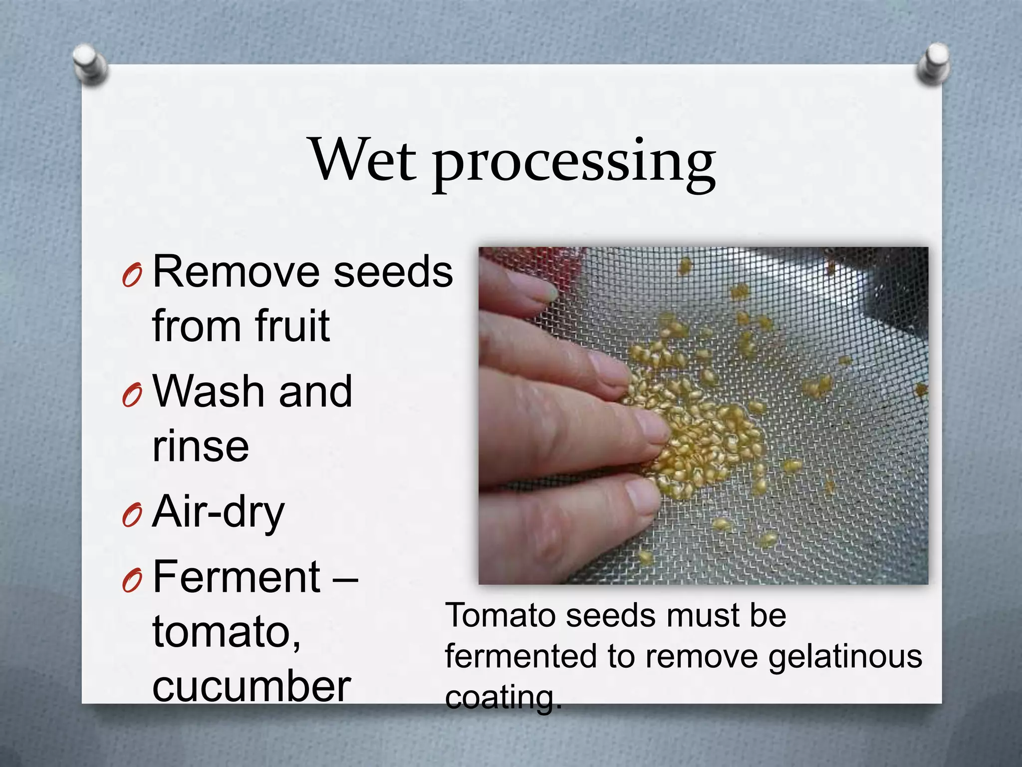 Wet processing
O Remove seeds
  from fruit
O Wash and
  rinse
O Air-dry
O Ferment –
               Tomato seeds must be
  tomato,      fermented to remove gelatinous
  cucumber     coating.
 