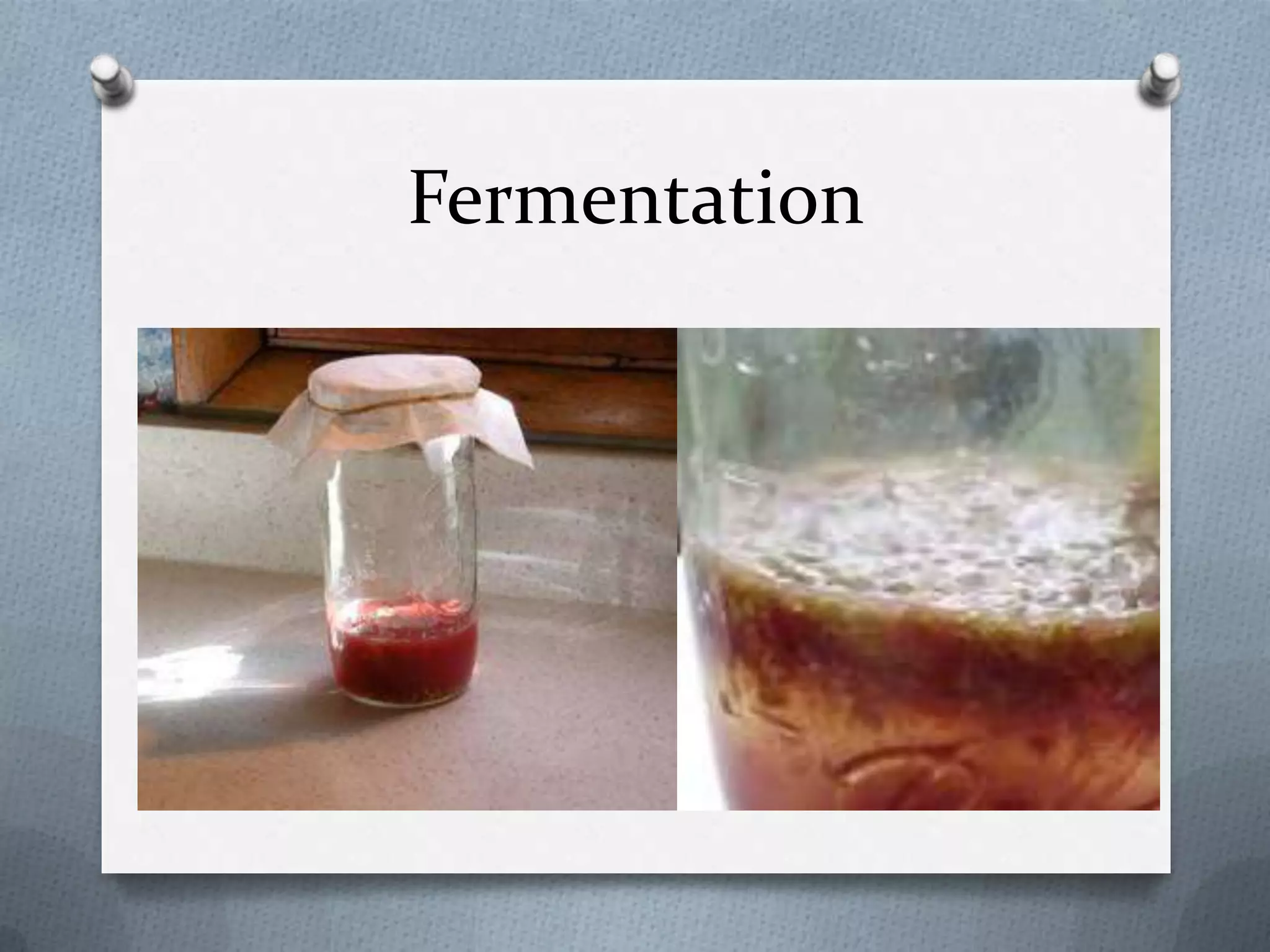 Fermentation
 