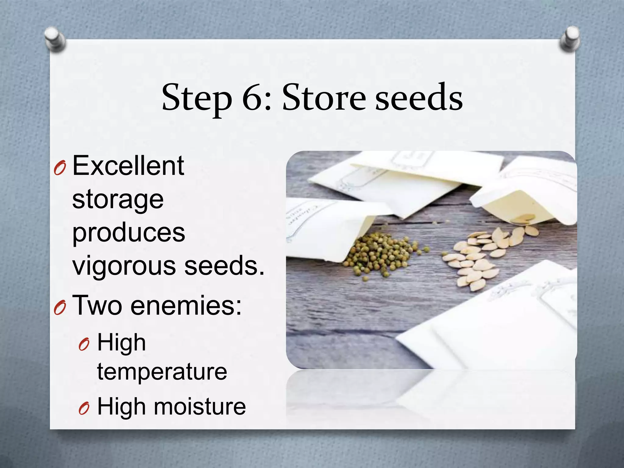 Step 6: Store seeds
O Excellent
  storage
  produces
  vigorous seeds.
O Two enemies:
  O High
    temperature
  O High moisture
 
