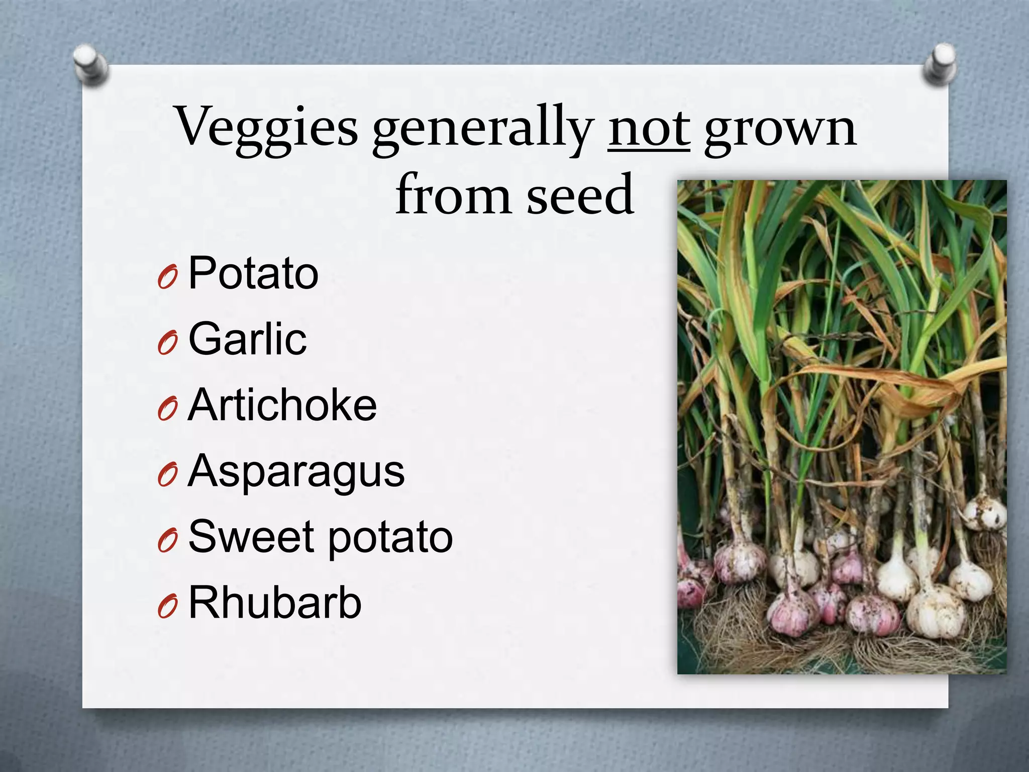 Veggies generally not grown
         from seed
O Potato
O Garlic
O Artichoke
O Asparagus
O Sweet potato
O Rhubarb
 