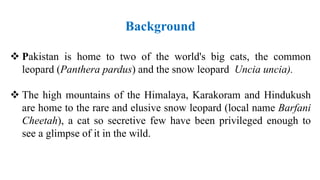 Saving the common leopards in Pakistan | PPT