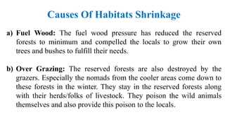 Saving the common leopards in Pakistan | PPT