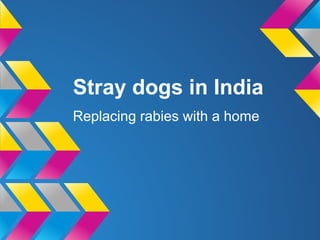 Stray dogs in India
Replacing rabies with a home
 