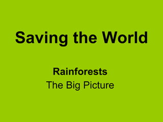 Saving the World Rainforests The Big Picture 