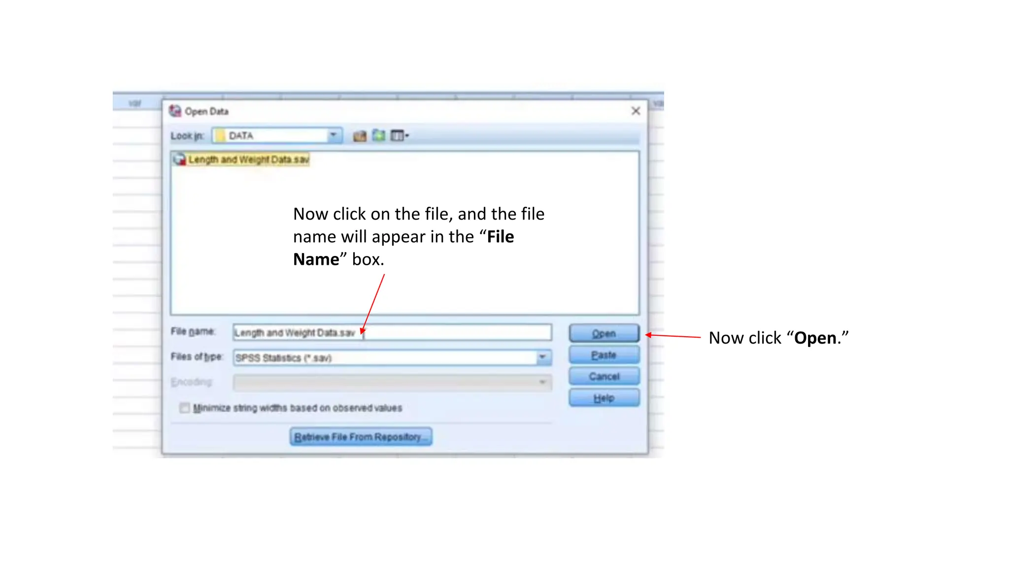 Now click on the file, and the file
name will appear in the “File
Name” box.
Now click “Open.”
 