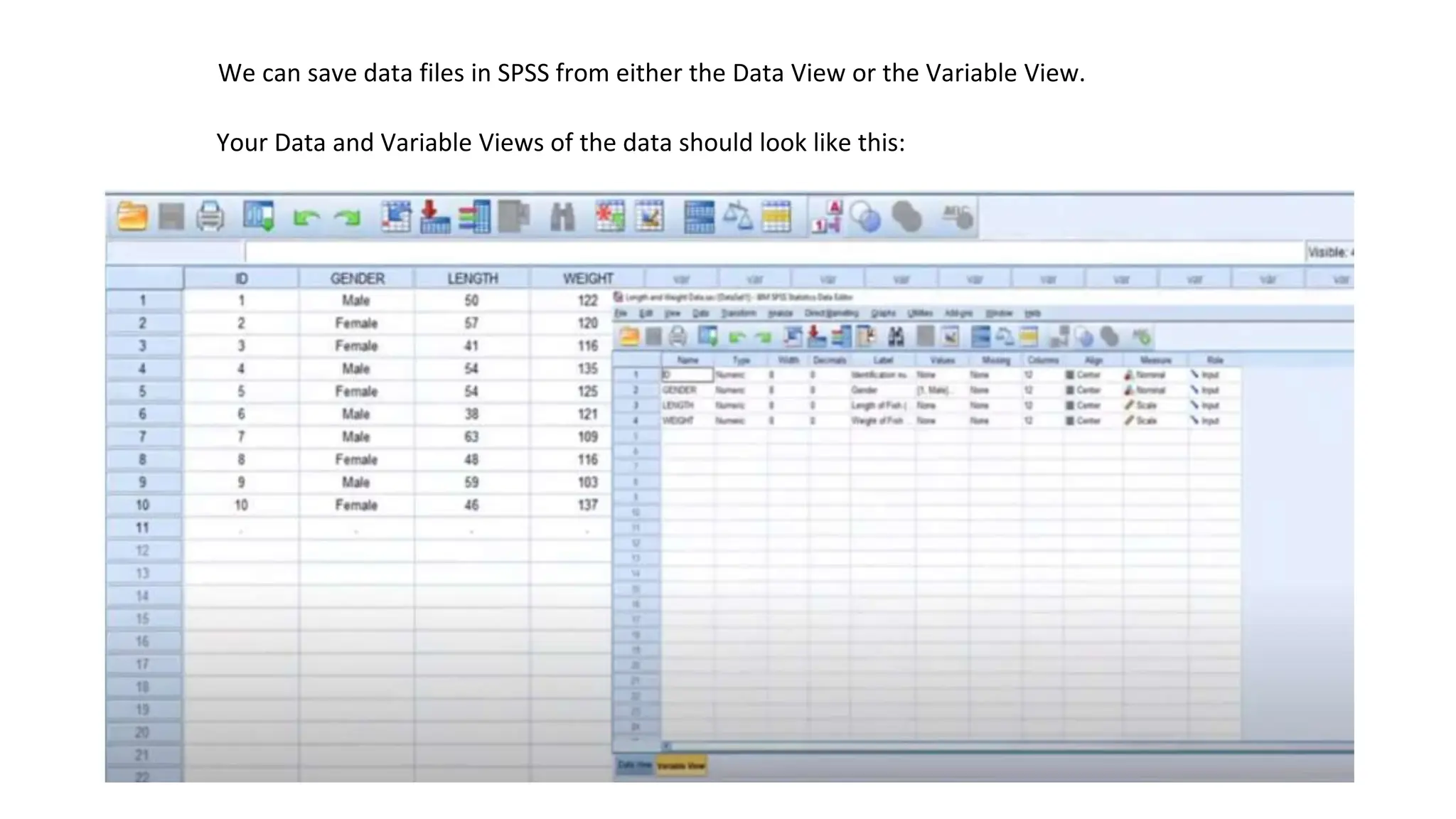 Your Data and Variable Views of the data should look like this:
We can save data files in SPSS from either the Data View or the Variable View.
 