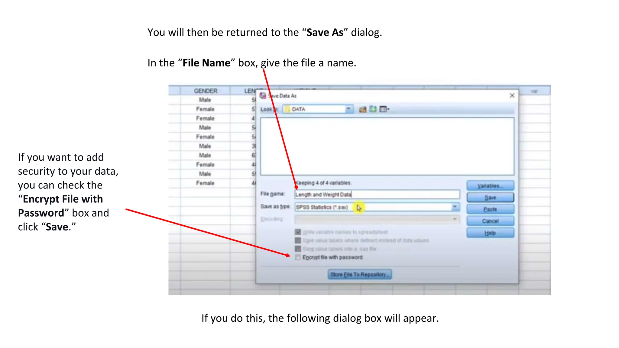 You will then be returned to the “Save As” dialog.
In the “File Name” box, give the file a name.
If you want to add
security to your data,
you can check the
“Encrypt File with
Password” box and
click “Save.”
If you do this, the following dialog box will appear.
 