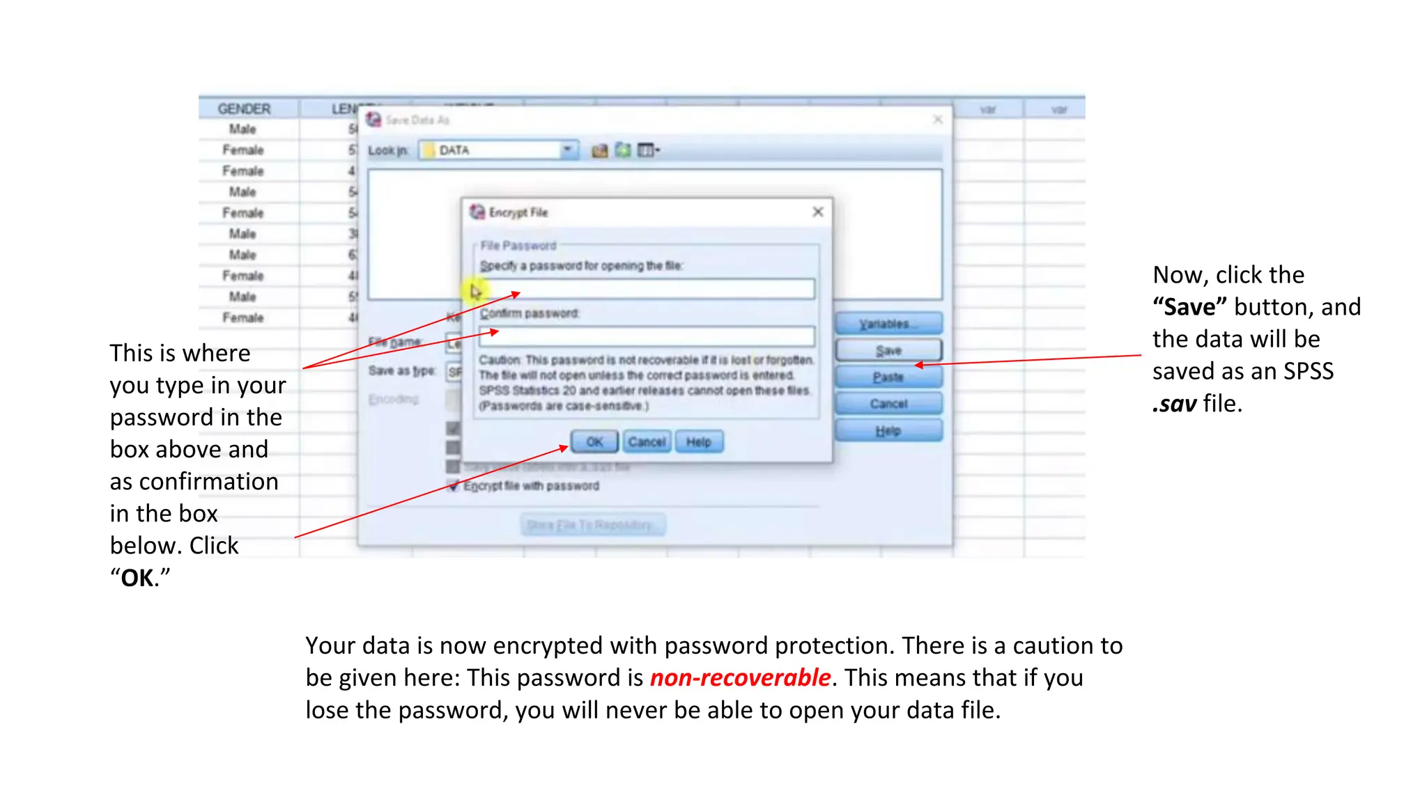 This is where
you type in your
password in the
box above and
as confirmation
in the box
below. Click
“OK.”
Your data is now encrypted with password protection. There is a caution to
be given here: This password is non-recoverable. This means that if you
lose the password, you will never be able to open your data file.
Now, click the
“Save” button, and
the data will be
saved as an SPSS
.sav file.
 