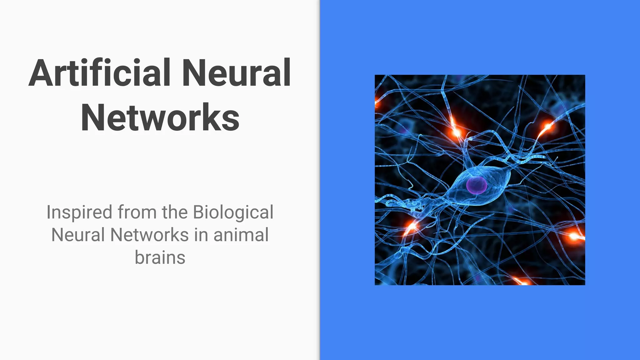 Artificial Neural
Networks
Inspired from the Biological
Neural Networks in animal
brains
 