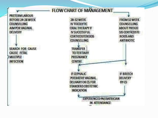 Preterm Labor Management Algorithm PREMATURE LABOR | PPTX