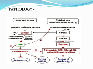 PATHOLOGY -
 