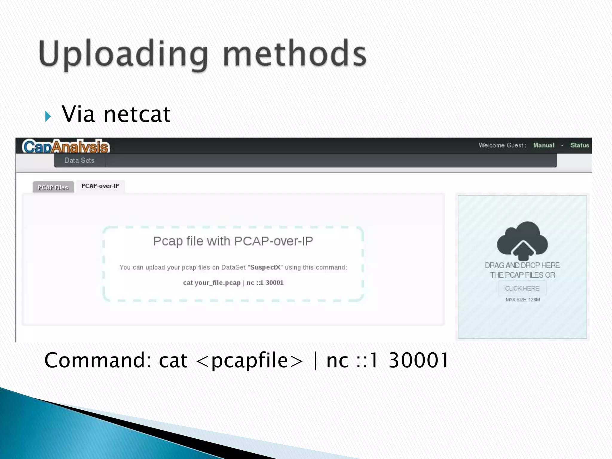  Via netcat 
Command: cat <pcapfile> | nc ::1 30001 
 