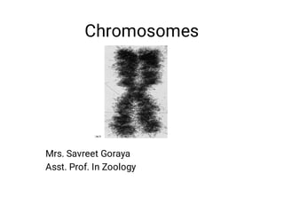 Chromosomes
Mrs. Savreet Goraya
Asst. Prof. In Zoology
 