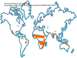 THEY COVER HALF THE SURFACE
OF AFRICA, LARGE AREAS OF AUSTRALIA,SOUTH AMERICA AND INDIA
 