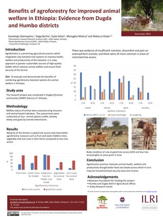 Benefits of agroforestry for improved animal
welfare in Ethiopia: Evidence from Dugda
and Humbo districts
Gezahegn Alemaye...
