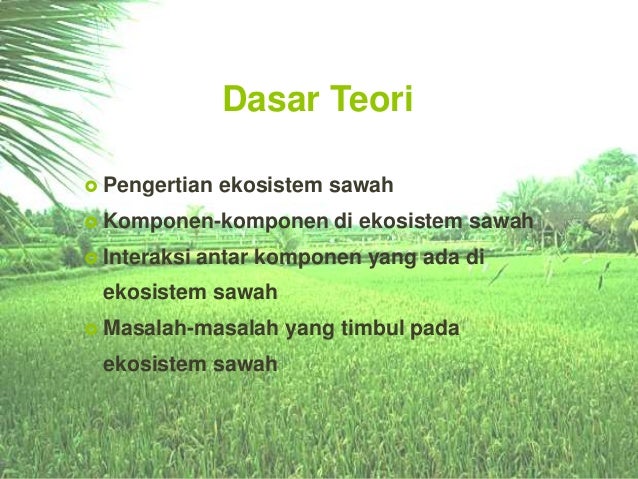 Komponen Biotik Abiotik Di Sawah