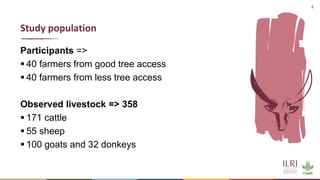 Synergies of Animal Welfare and Agroforestry in Ethiopia (SAWA)