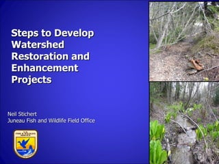 Steps to Develop
 Watershed
 Restoration and
 Enhancement
 Projects


Neil Stichert
Juneau Fish and Wildlife Field Office
 