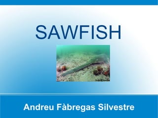 SAWFISH


Andreu Fàbregas Silvestre
 