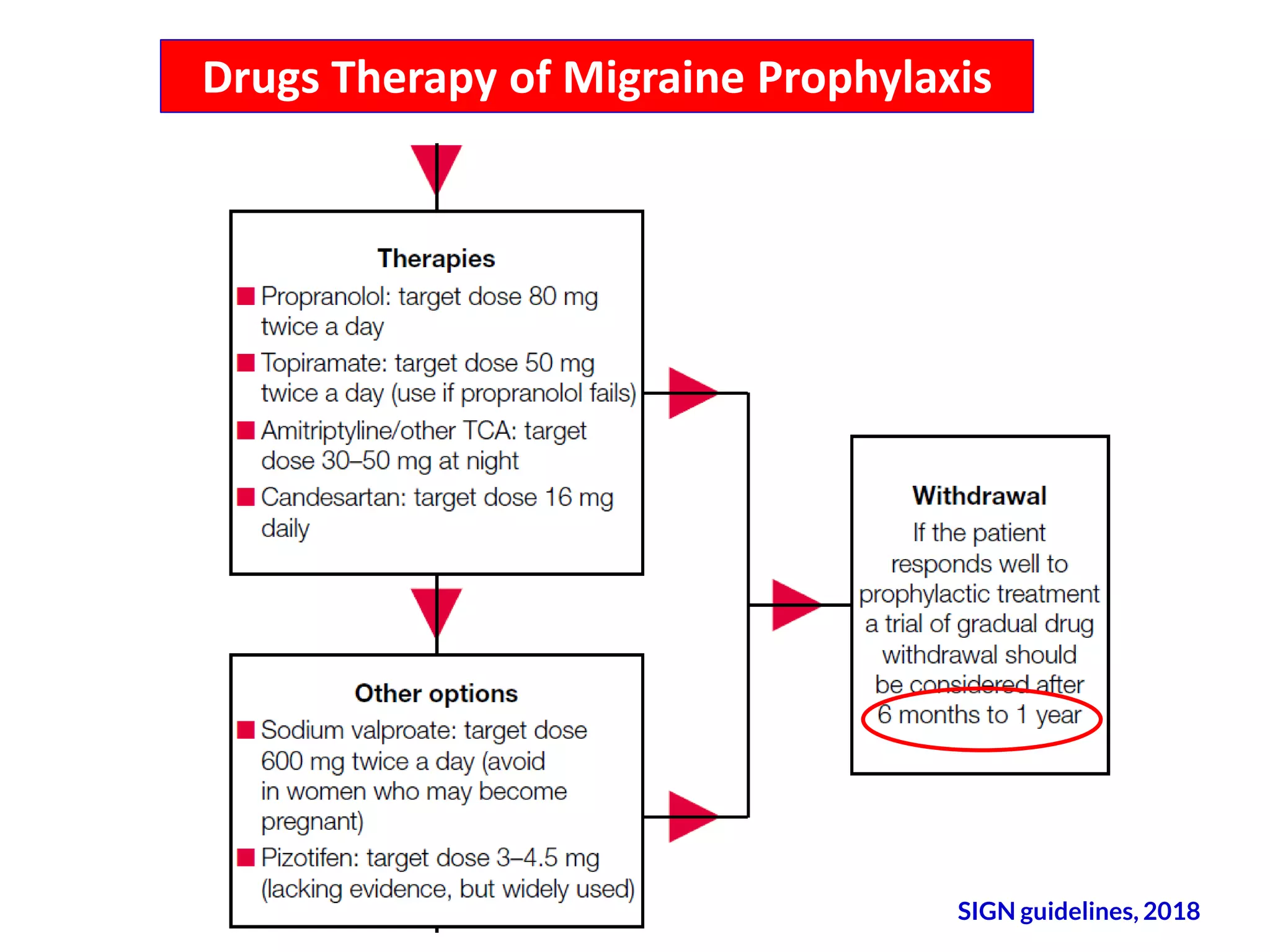 Pathophysiology and Drug Therapy of Migraine | PDF
