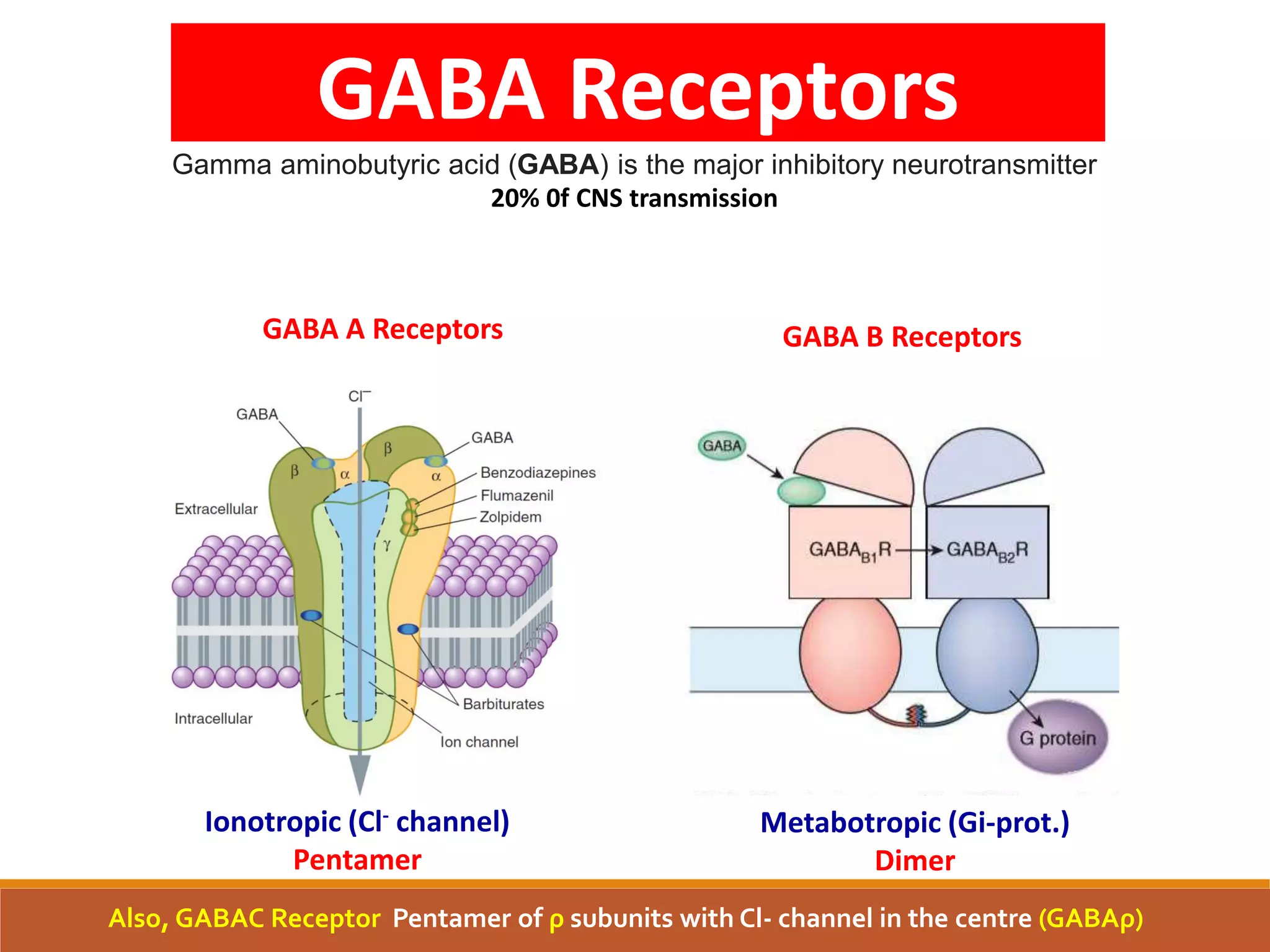 GABA Receptors PDF GABA Receptors PDF