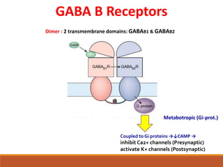 GABA Receptors | PDF