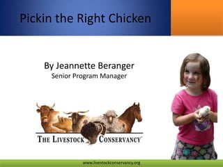 Pickin the Right Chicken
www.livestockconservancy.org
By Jeannette Beranger
Senior Program Manager
 