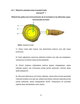 26 
4.2.1. Wakicht’a yatxatawi aksa humedad tuqita 
Jamuqa Nº 1 
Wakicht’ata gráfica de la Concentración de la humedad en las diferentes capas 
transversales de Isaño 
Arkta: Jiwasana lurata 
1.- Akaxa mayiri jalja tuqinxa, lupi qhanampixa isañuna uma utjki ukaxa 
jump’suwa. 
2.- Payiri jaljarakiwa nayririruxa arktaraki kunatixa uma utjki uka pisiqtayasa, 
ukampirusa ch’aranaki ukaxa juk’ata pisiqtaraki. 
3.- Kimsiri chiqanxa uñjasirakiwa isañuna taypina chiqajaspawa, akaxa 
arktaraki payiriru uka ch’aranaxa juk’ata juk’ata wañsuraki, ukniriwa qhipa 
qhipa qhipapunixi. 
4.- Aka pusiri jakhuwinxa mä chimpu uñjasiwa, ukaxa saña muniwa aynachata 
misturaki kunatixa uma utjki uka, akasti jump’irakiwa misturaki ukjamata juk’ata 
juk’ata wañsuraki, akaxa makiparakiwa 39,5ºC Temperatura de promedio 
ukjampi aksa deshidratador solar uksana. 
1 
2 
3 
c 
4 
 