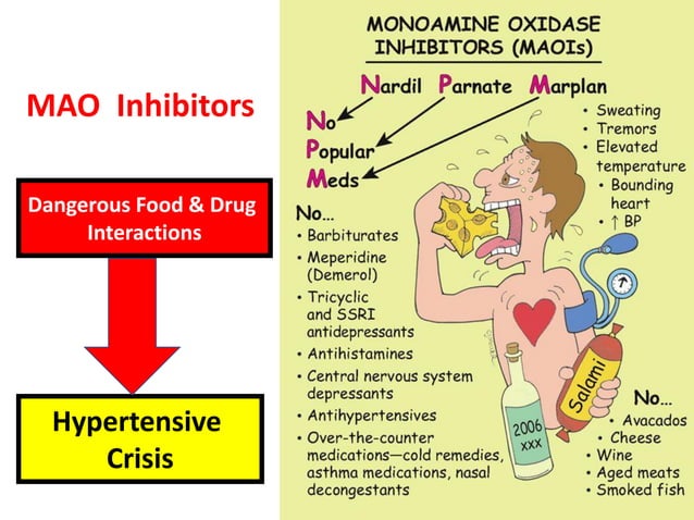 Monoamine Oxidase Inhibitors Maois 