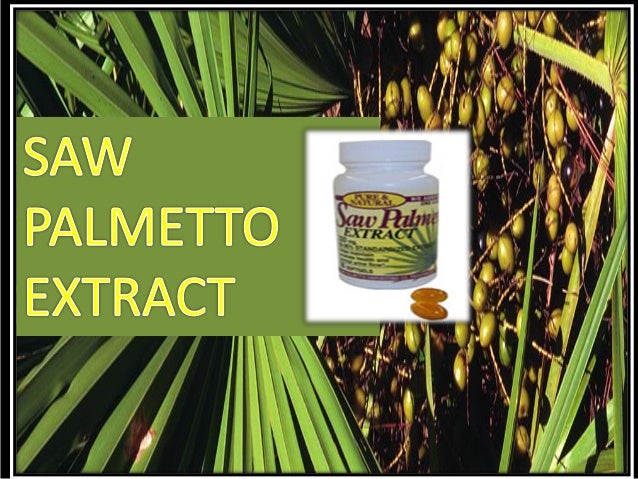 Saw Palmetto Effective In Treating The Hair Loss