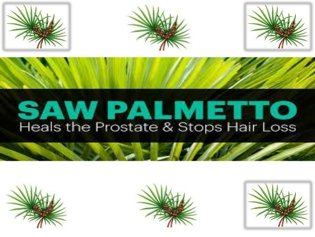 Impressive Benefits Of Saw Palmetto For Hairloss