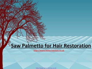 Saw Palmetto for Hair Restoration
         http://www.leimo-hairloss.co.uk




           http://www.leimo-hairloss.co.uk
 