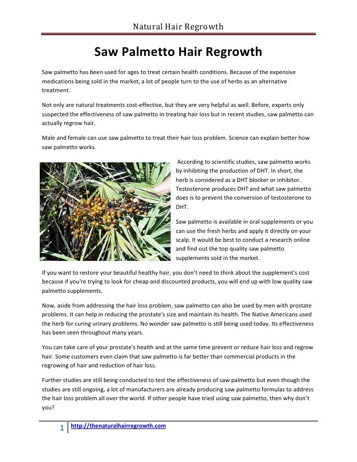 Saw Palmetto Hair Regrowth