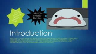 IntroductionWELCOME TO THE BLOB FISH! LETS TRAVEL TO THE DEEP SEAS OF WEST-SOUTH ATLANTIC OCEAN! WE’LL
DISCOVER LOTS ABOUT THE BLOB FISH. THEY MIGHT BE UGLY, BUT THEY’RE INTERESTING, TOO! JUST
REMEMBER, IF YOU DEEP SEA TRAWL, STOP! YOUR KILLING AND MAKING THE BLOB FISH MORE
ENDANGERED! YEP, THEY’RE ENDANGERED. ANYWAYS, LETS GO! :)
hello. I’m
a happy
Blob fish.
 