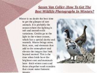Saxen Van Coller­ How To Get The 
Best Wildlife Photographs In Winters?
Winter is no doubt the best time 
to get the glimpse of rare 
animals. It is probably the 
season where the lighting is 
soft and smooth with 
variations. Credits go to the 
light in the winter season, 
which has a special clarity and 
warmth. Winter brings snow, 
frost, mist, and elements that 
add to the atmosphere and 
elevate the images that look 
beyond normal. This is the 
time when birds have the 
brightest coat and mammals 
have  thick winter coats and 
these altogether work wonders 
that create some fantastic 
 