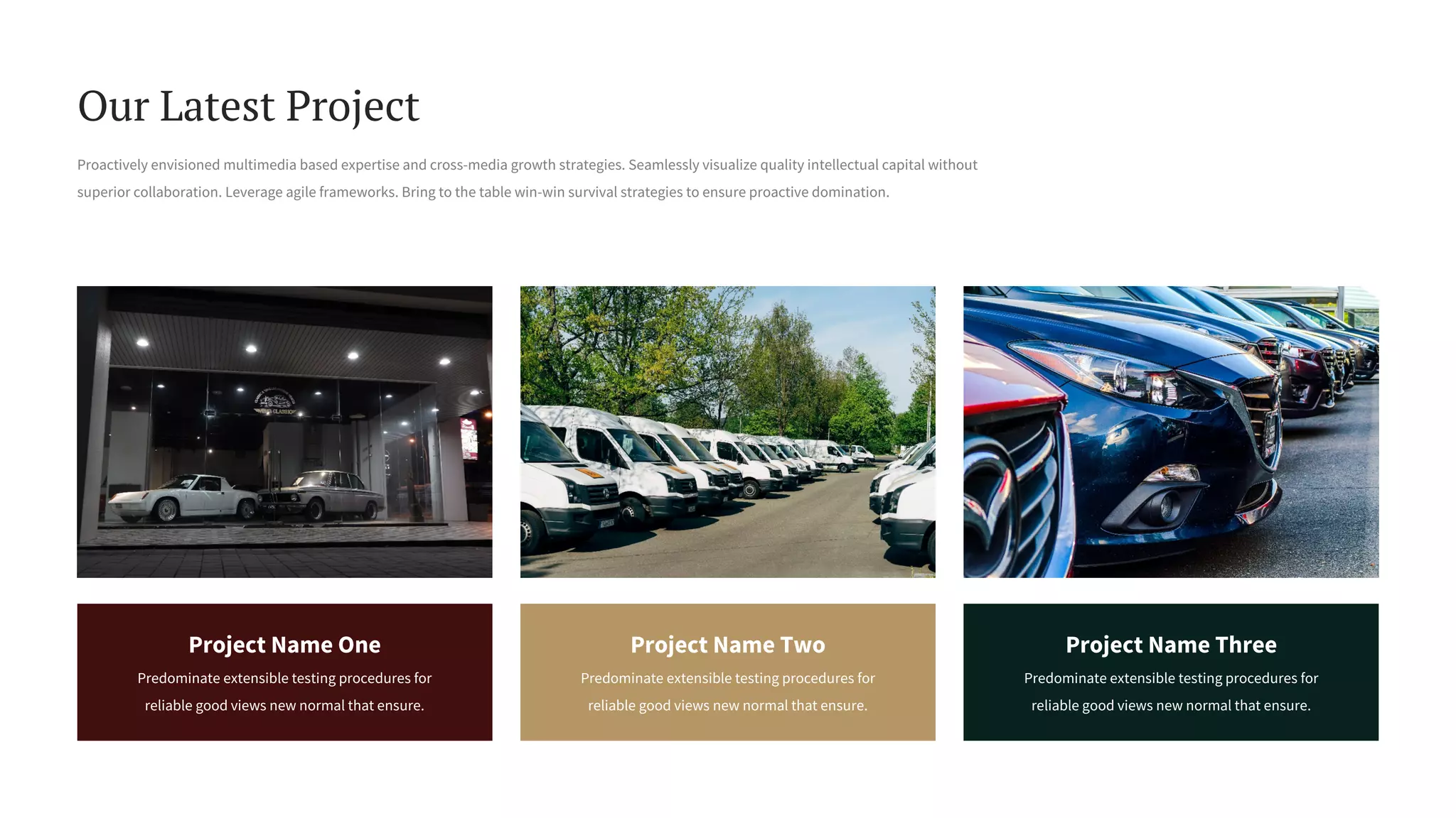 Proactively envisioned multimedia based expertise and cross-media growth strategies. Seamlessly visualize quality intellectual capital without
superior collaboration. Leverage agile frameworks. Bring to the table win-win survival strategies to ensure proactive domination.
Our Latest Project
Project Name One
Predominate extensible testing procedures for
reliable good views new normal that ensure.
Project Name Two
Predominate extensible testing procedures for
reliable good views new normal that ensure.
Project Name Three
Predominate extensible testing procedures for
reliable good views new normal that ensure.
 