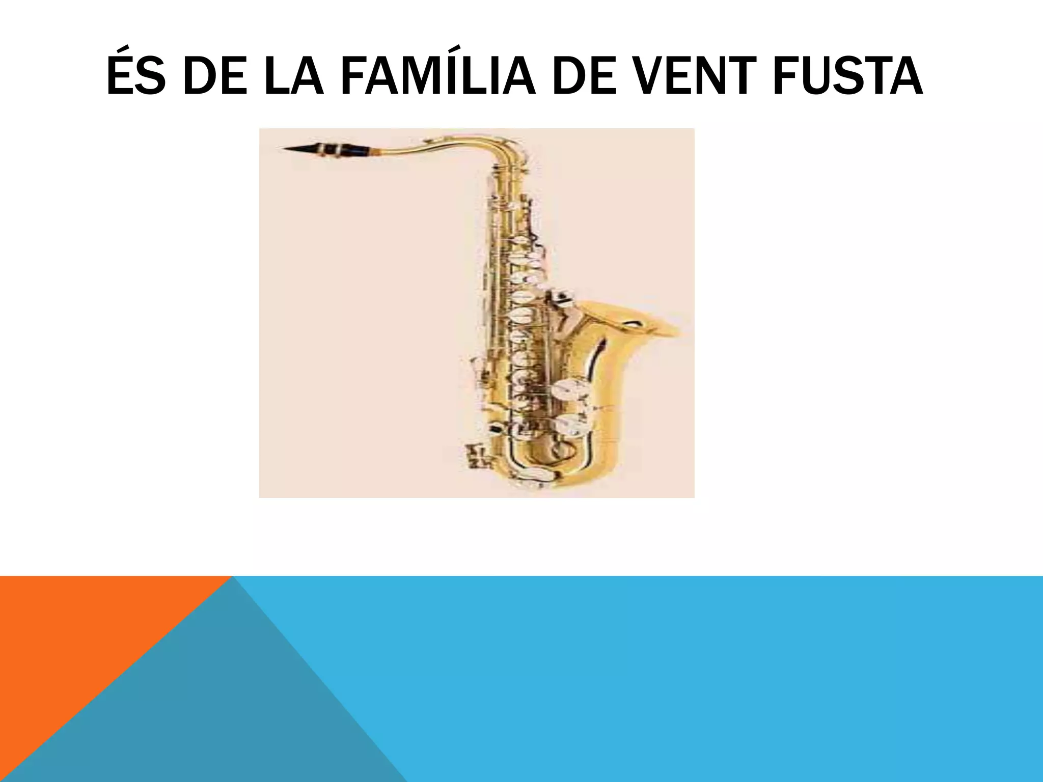 ÉS DE LA FAMÍLIA DE VENT FUSTA
 