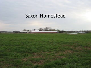 Saxon Homestead 