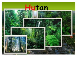 Hutan
 