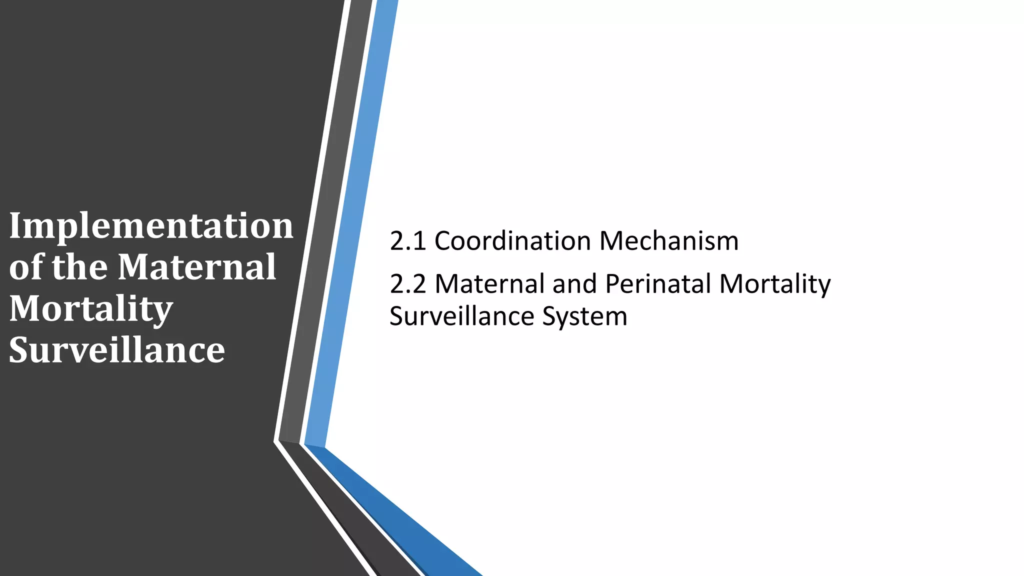 Implementation
of the Maternal
Mortality
Surveillance
2.1 Coordination Mechanism
2.2 Maternal and Perinatal Mortality
Surveillance System
 