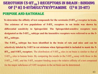 SEROTONIN (5-HT1B ) RECEPTORS IN BRAIN : BINDING
OF [3 H] 5-HYDROXYTRYPTAMINE ([3 H ]5-HT)
PURPOSE AND RATIONALE
To determine the affinity of test compounds for the serotonin (5-HT1B) receptor in brain.
The existence of two populations of 5-HT1 receptors in rat brain was shown by
differential sensitivity to Spiroperidol. The Spiroperidol-sensitive receptors were
designated as the 5-HT1A subtype and the insensitive receptors were referred to as the 5HT1B subtype.

The 5-HT1B subtype has been identified in the brain of rats and mice and can be
selectively labeled by 5-HT in rat striatum when Spiroperidol is included to mask the 5HT1A and 5-HT2 receptors. The distribution of 5-HT1B sites in rat brain is similar to that of
5-HT1D sites in human brain. By comparing the results in the 5-HT1B assay with those in the

5-HT1A, 5-HT2 and the 5-HT3 receptor binding assays the relative affinity of a test compound
for the major subclasses of 5-HT receptors in the rat brain can be determined.
43

 