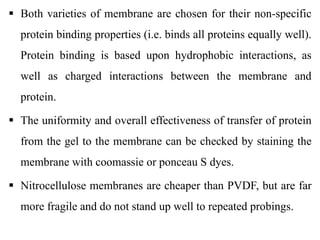  Both varieties of membrane are chosen for their non-specific
protein binding properties (i.e. binds all proteins equally well).
Protein binding is based upon hydrophobic interactions, as
well as charged interactions between the membrane and
protein.
 The uniformity and overall effectiveness of transfer of protein
from the gel to the membrane can be checked by staining the
membrane with coomassie or ponceau S dyes.
 Nitrocellulose membranes are cheaper than PVDF, but are far
more fragile and do not stand up well to repeated probings.
 