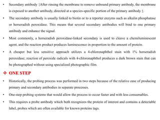 • Secondary antibody {After rinsing the membrane to remove unbound primary antibody, the membrane
is exposed to another antibody, directed at a species-specific portion of the primary antibody }.
• The secondary antibody is usually linked to biotin or to a reporter enzyms such as alkalin phosphatase
or horseradish peroxidase. This means that several secondary antibodies will bind to one primary
antibody and enhance the signal.
• Most commonly, a horseradish peroxidase-linked secondary is used to cleave a chemiluminescent
agent, and the reaction product produces luminescence in proportion to the amount of protein.
• A cheaper but less sensitive approach utilizes a 4-chloronaphthol stain with 1% horseradish
peroxidase; reaction of peroxide radicals with 4-chloronaphthol produces a dark brown stain that can
be photographed without using specialized photographic film.
 ONE STEP
• Historically, the probing process was performed in two steps because of the relative ease of producing
primary and secondary antibodies in separate processes.
• One-step probing systems that would allow the process to occur faster and with less consumables.
• This requires a probe antibody which both recognizes the protein of interest and contains a detectable
label, probes which are often available for known proteins tags.
 
