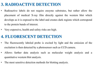 3. RADIOACTIVE DETECTION
• Radioactive labels do not require enzyme substrates, but rather allow the
placement of medical X-ray film directly against the western blot which
develops as it is exposed to the label and creates dark regions which correspond
to the protein bands of interest.
• Very expensive, health and safety risks are high.
4. FLUORESCENT DETECTION
• The fluorescently labeled probe is excited by light and the emission of the
excitation is then detected by a photosensor such as CCD camera.
• Allows further data analysis such as molecular weight analysis and a
quantitative western blot analysis.
• The most sensitive detection methods for blotting analysis.
 