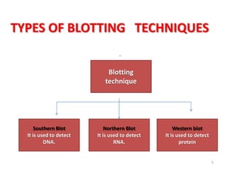 TYPES OF BLOTTING TECHNIQUES
w
Blotting technique
Western blot
It is used to detect
protein
Northern Blot
It is used to detect
RNA.
Southern Blot
It is used to detect
DNA.
5
Blotting
technique
 