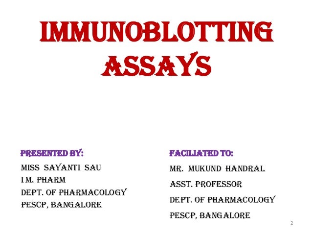 immunoblotting techniques immunoblotting