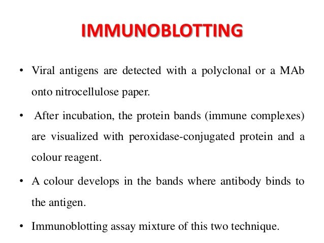 immunoblotting techniques immunoblotting