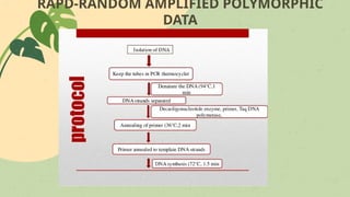 RAPD-RANDOM AMPLIFIED POLYMORPHIC
DATA
 