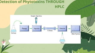 Detection of Phytotoxins THROUGH
HPLC
 